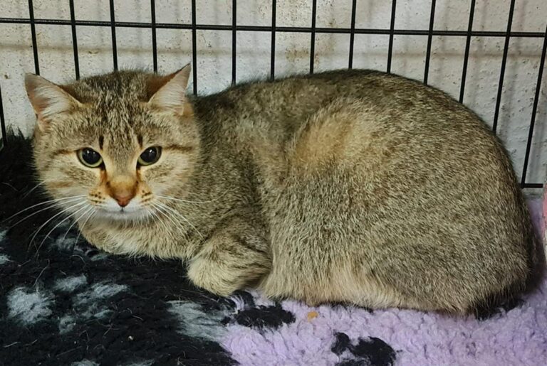 multimedia-foto70068-141-1