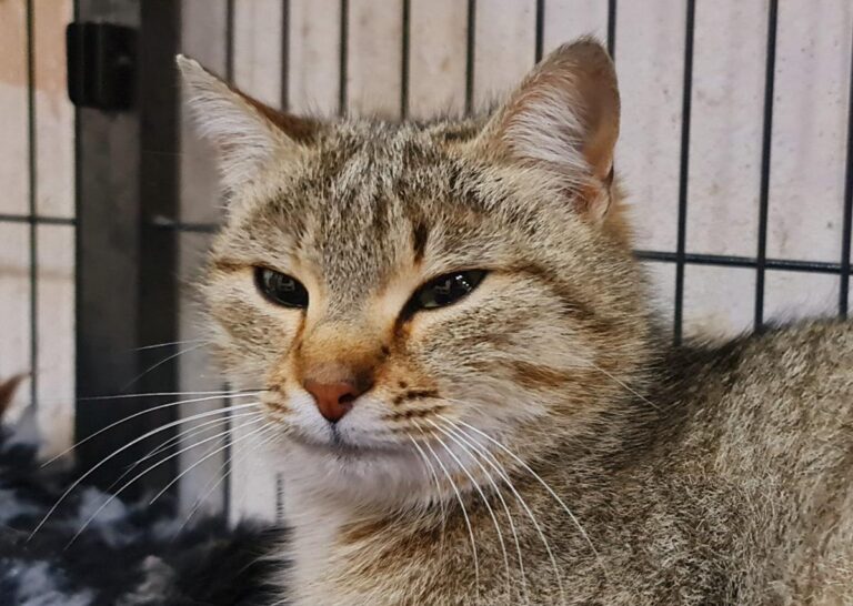 multimedia-foto70069-141-1