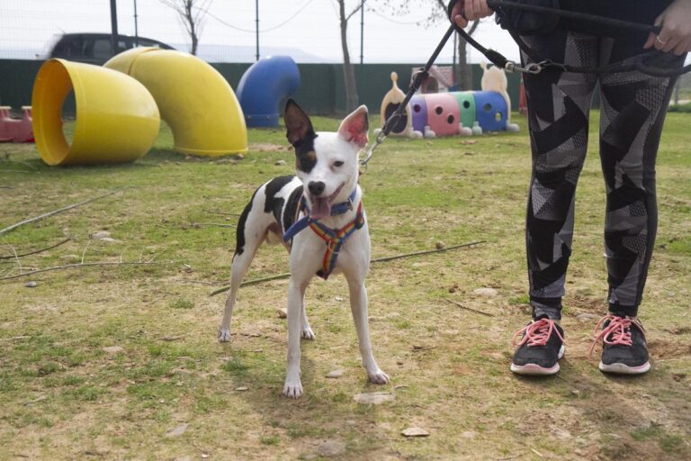 multimedia-foto70086-471-1