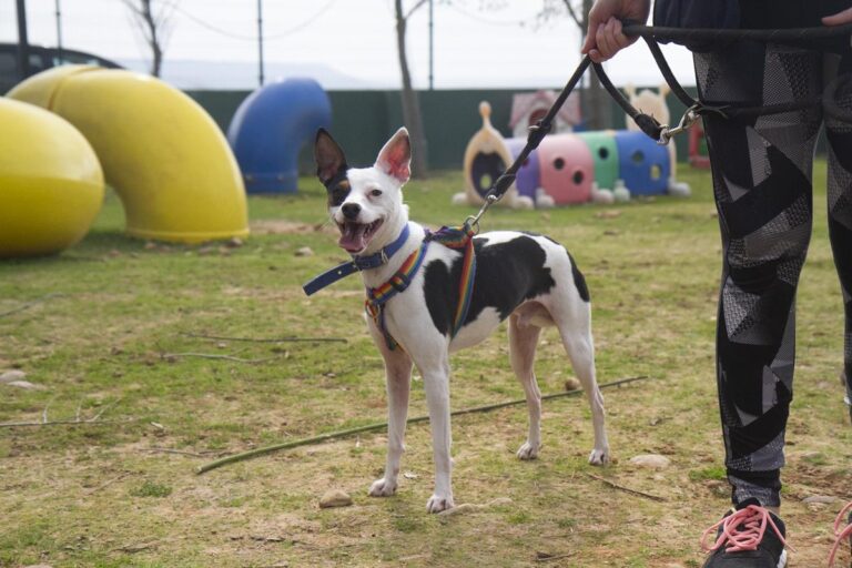 multimedia-foto70087-471-1