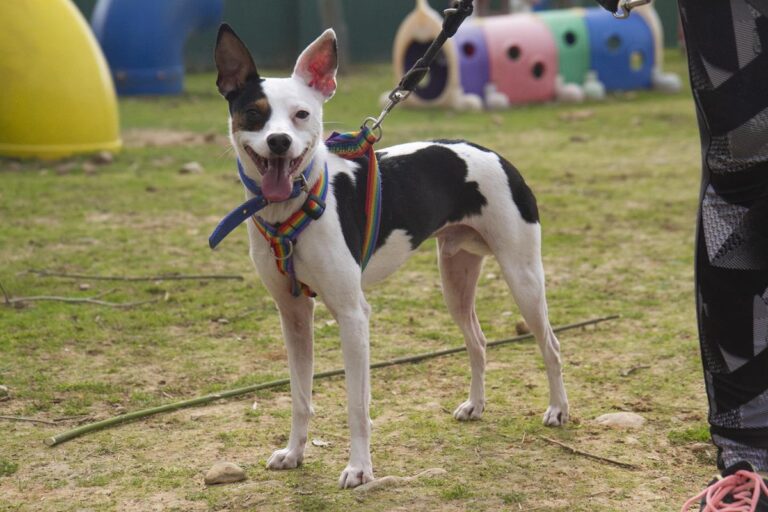 multimedia-foto70088-472-1