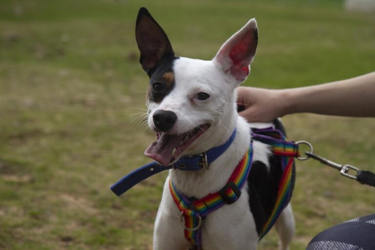 multimedia-foto70089-472-1