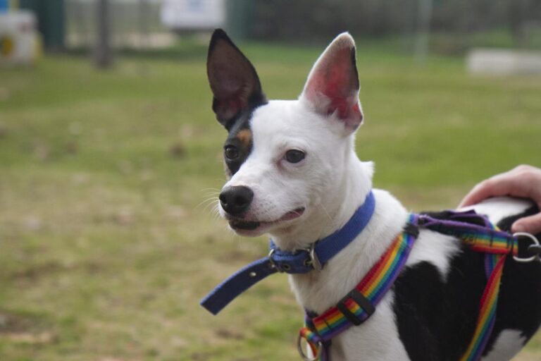 multimedia-foto70090-472-1