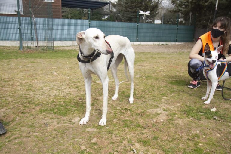 multimedia-foto70104-836-1