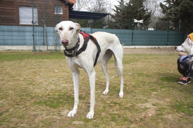 multimedia-foto70105-836-1