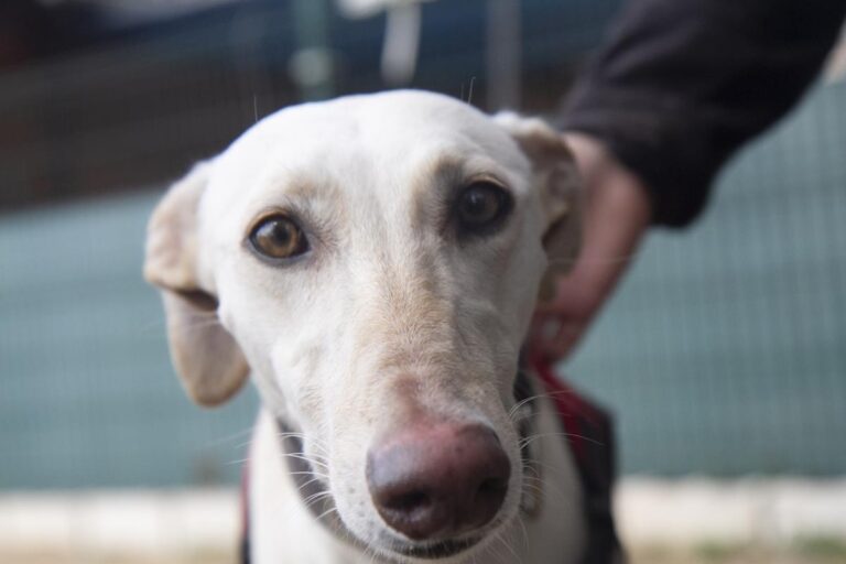 multimedia-foto70106-836-1