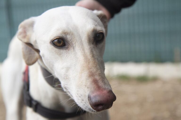 multimedia-foto70107-836-1