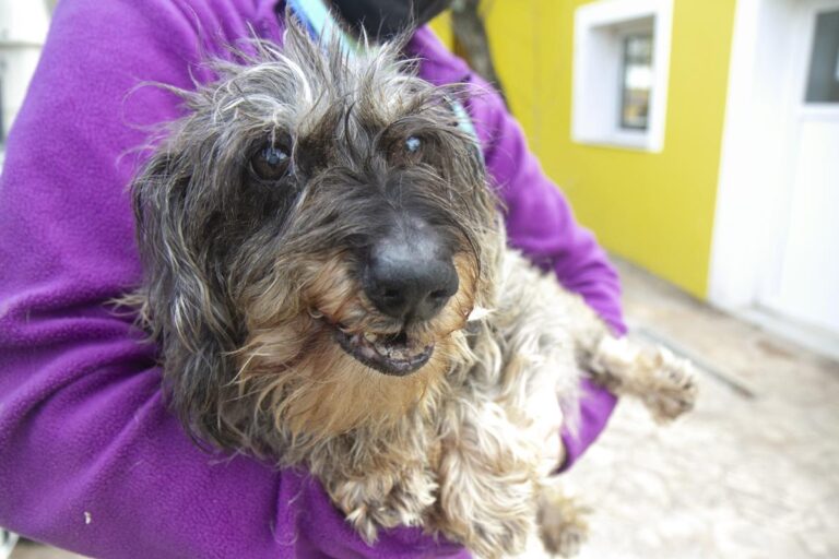 multimedia-foto70108-64-1