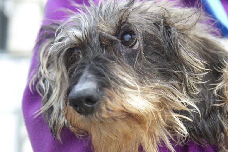 multimedia-foto70109-64-1