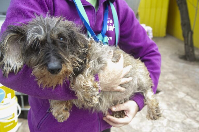 multimedia-foto70110-64-1