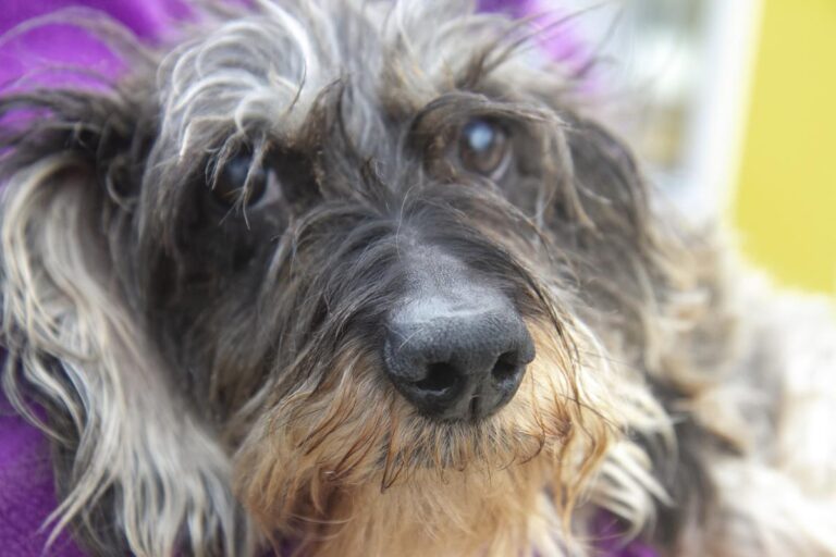 multimedia-foto70111-64-1