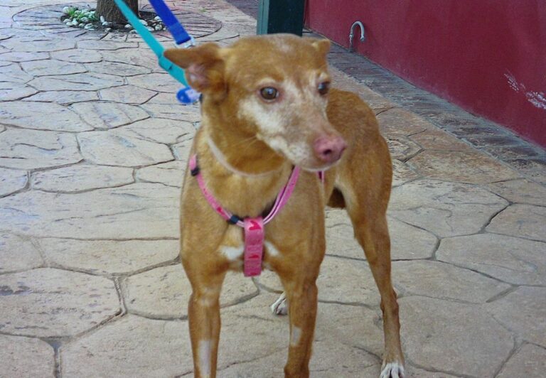 multimedia-foto70125-479-1