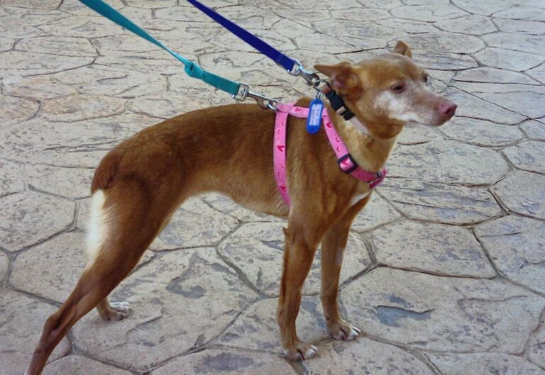 multimedia-foto70127-480-1