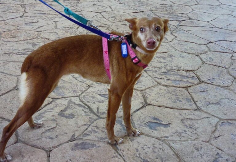 multimedia-foto70128-480-1