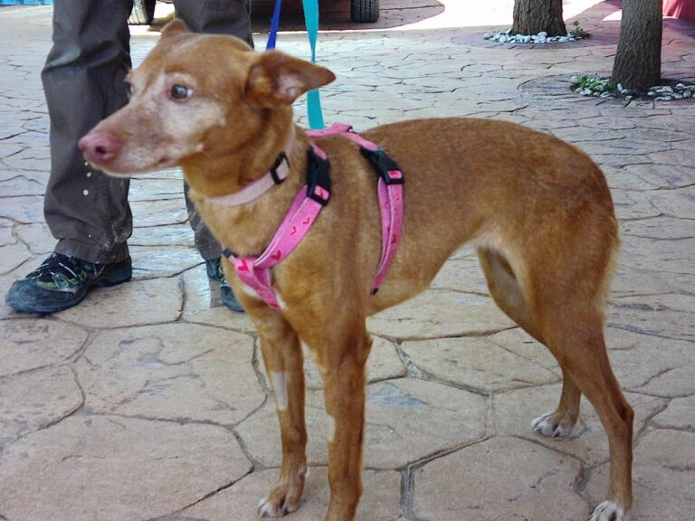 multimedia-foto70129-480-1