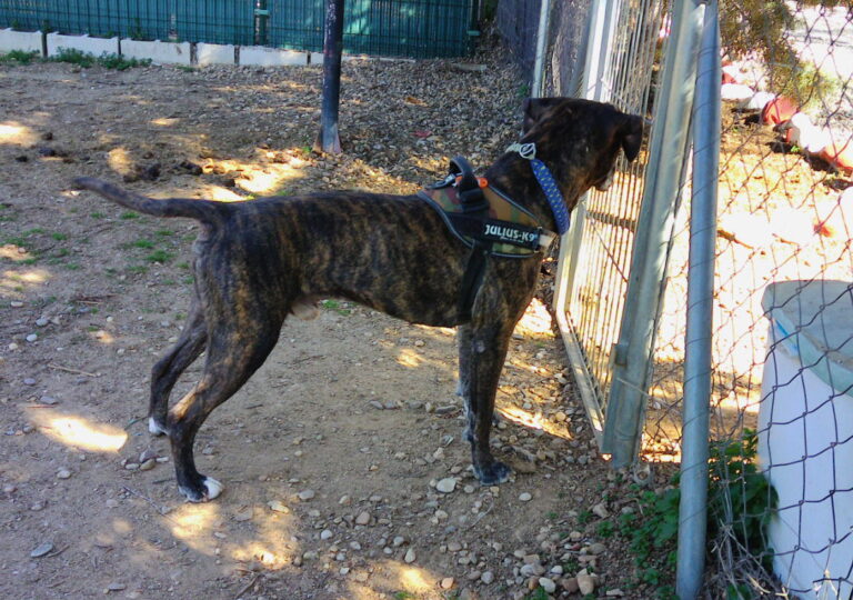 multimedia-foto70139-763-1