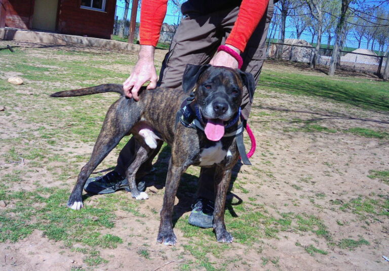 multimedia-foto70140-763-1