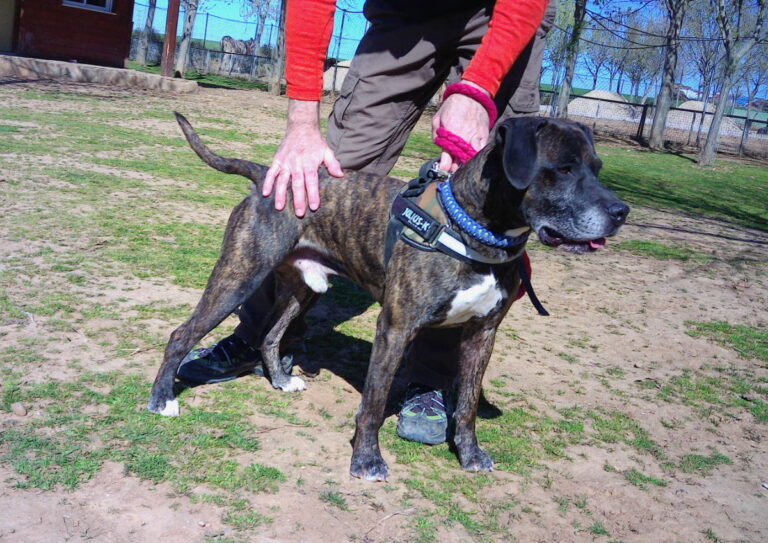 multimedia-foto70141-763-1