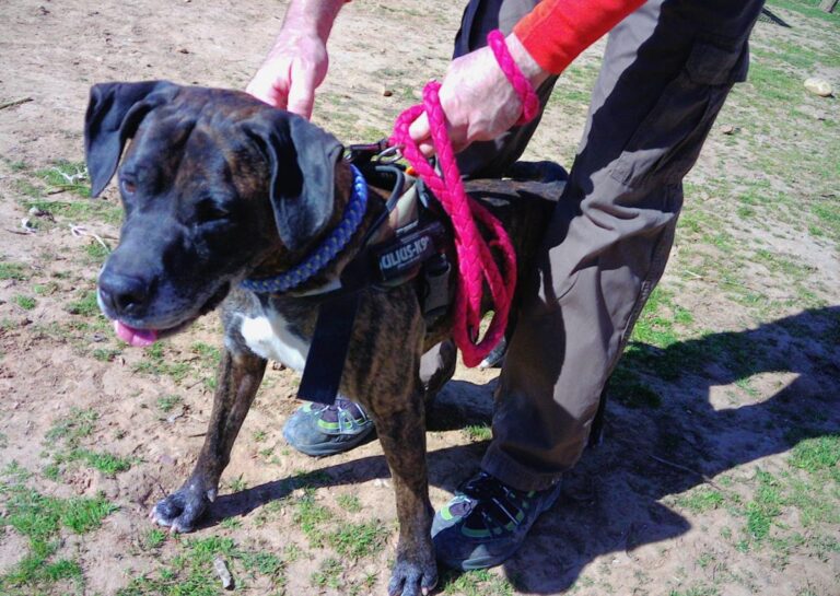 multimedia-foto70143-764-1