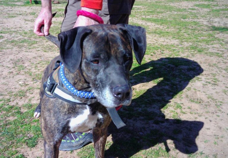 multimedia-foto70144-764-1