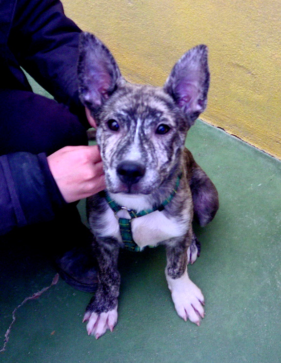 multimedia-foto70243-920-1