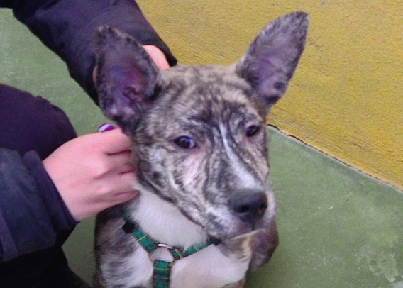 multimedia-foto70244-920-1