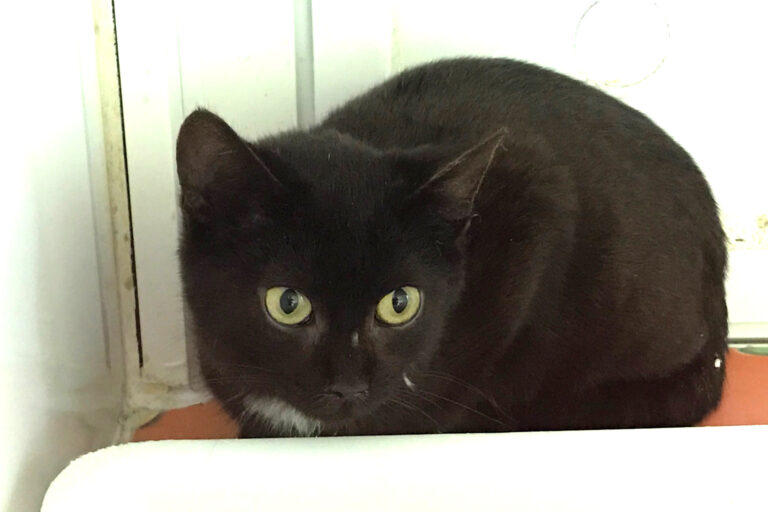 multimedia-foto70270-792-1