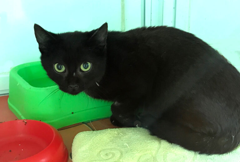 multimedia-foto70271-792-1