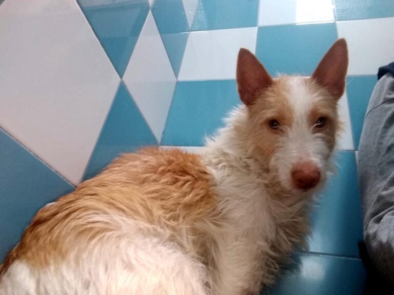 multimedia-foto70272-607-1