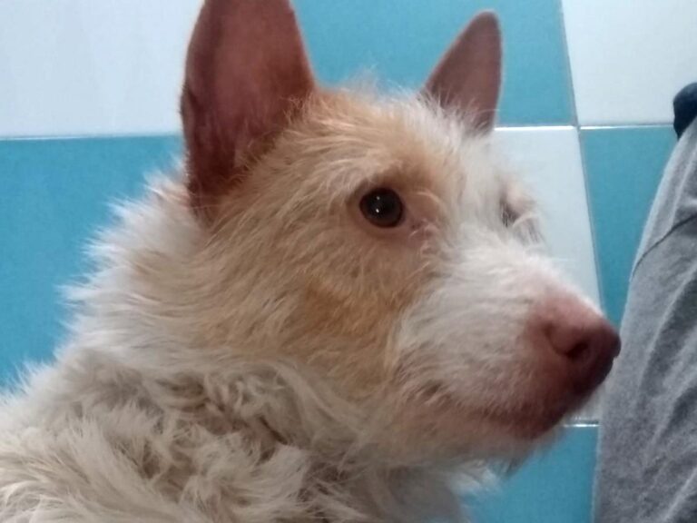 multimedia-foto70273-608-1