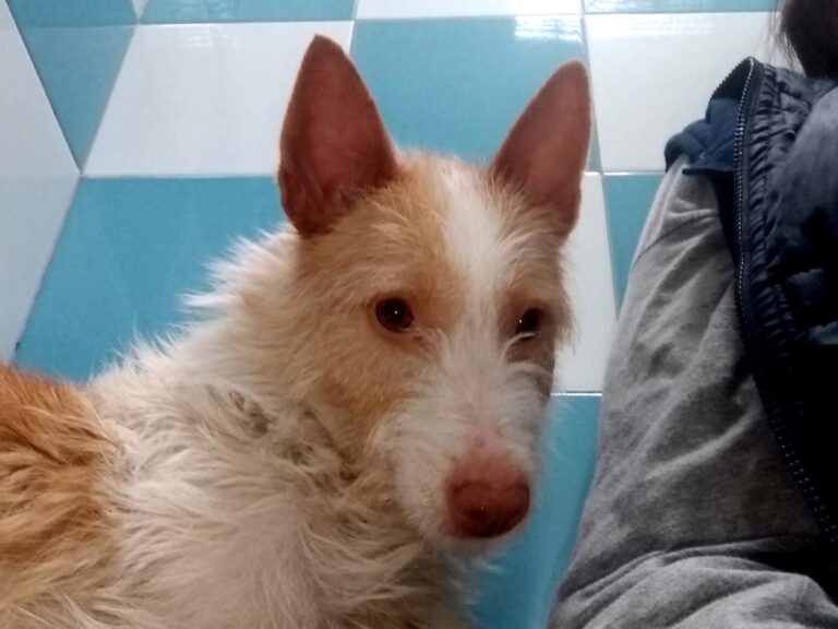 multimedia-foto70274-608-1