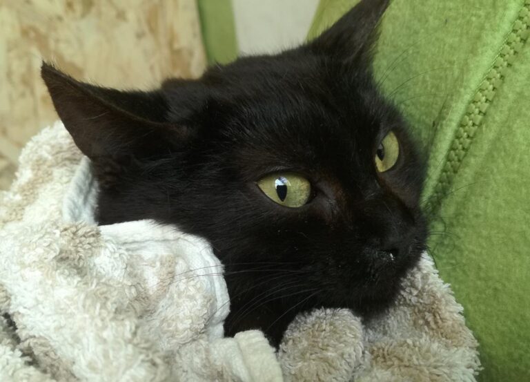 multimedia-foto70279-97-1