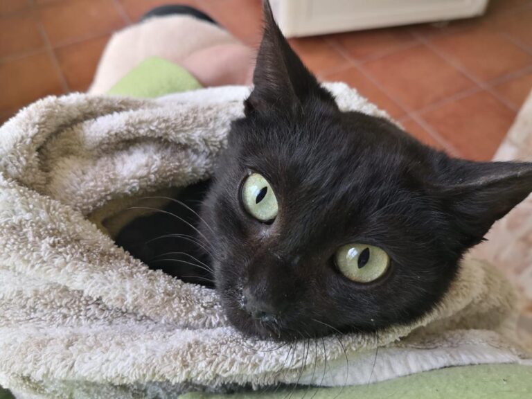 multimedia-foto70280-97-1