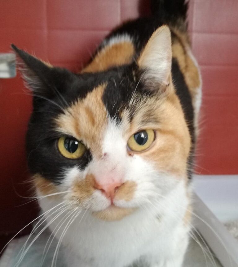 multimedia-foto70305-194-1