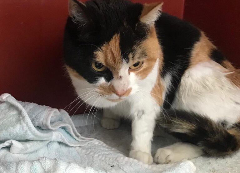 multimedia-foto70308-194-1