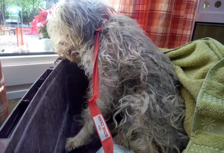 multimedia-foto70313-149-1