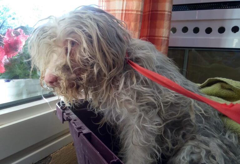 multimedia-foto70314-149-1