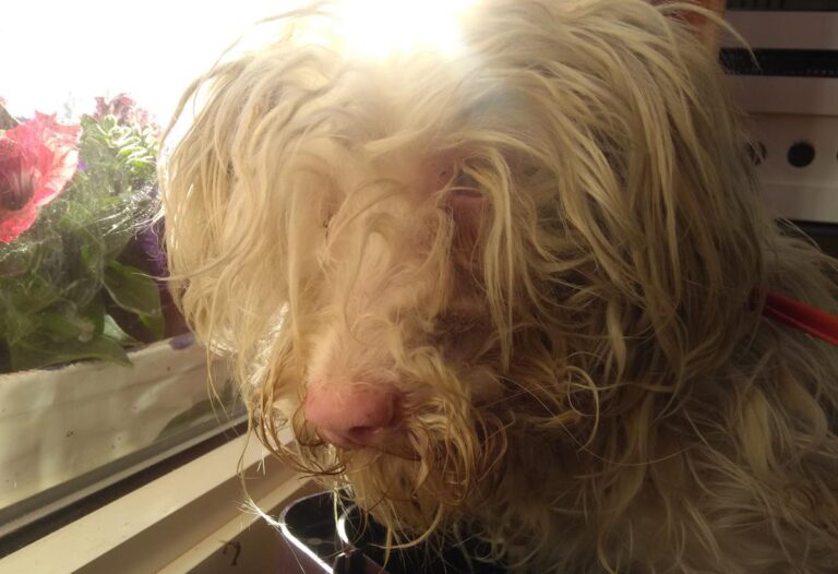 multimedia-foto70315-150-1