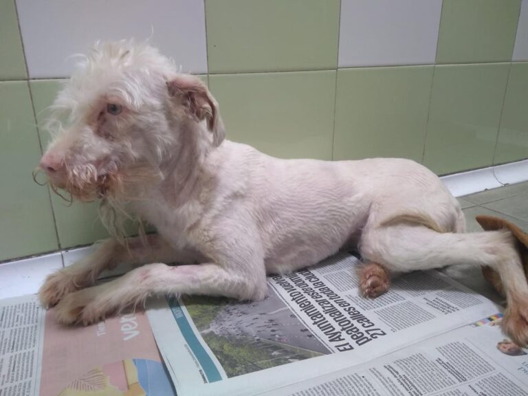 multimedia-foto70316-150-1