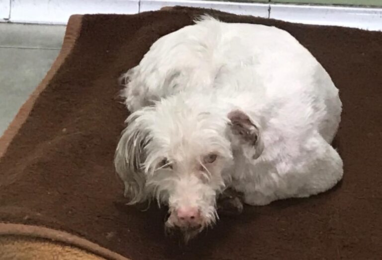 multimedia-foto70317-150-1