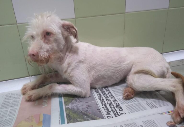 multimedia-foto70318-150-1