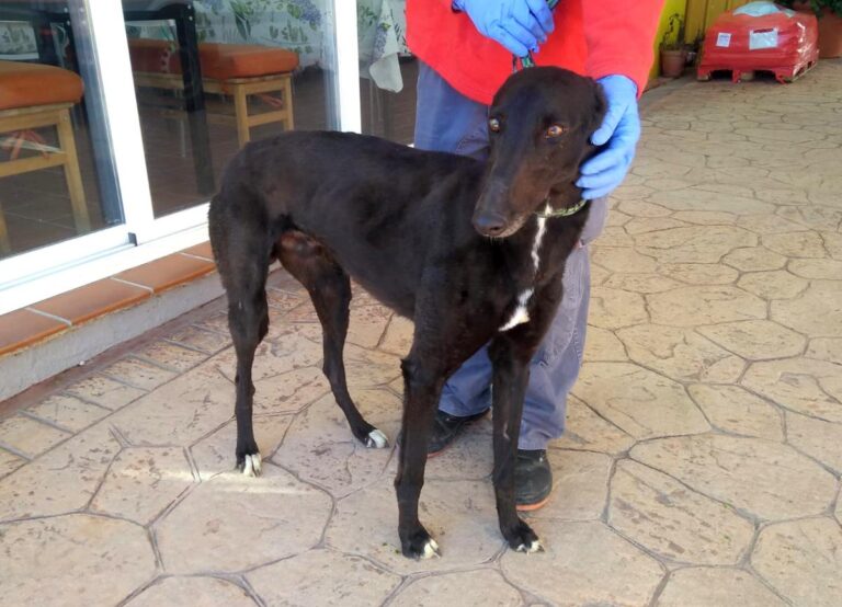 multimedia-foto70339-29-1