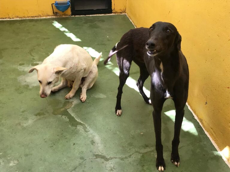 multimedia-foto70342-29-1