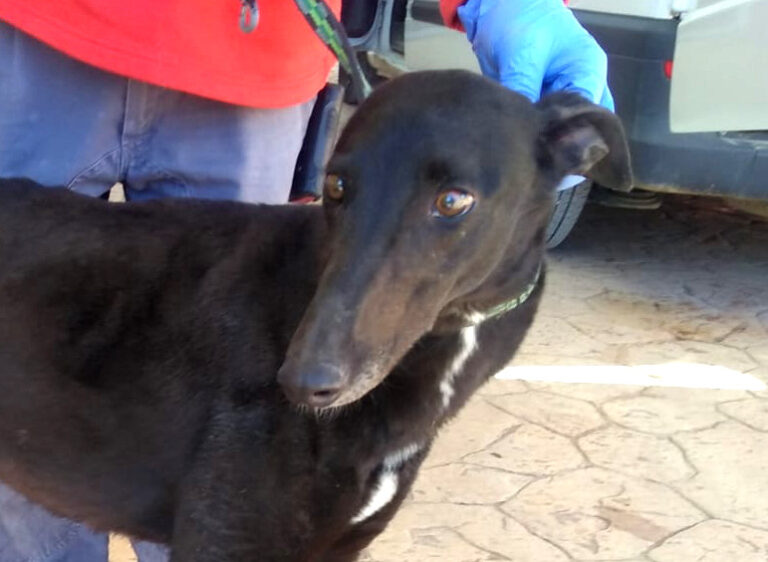 multimedia-foto70343-30-1