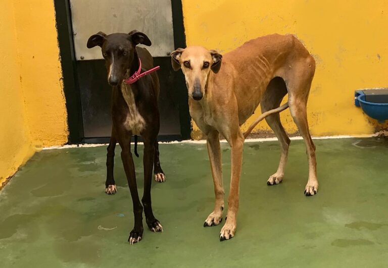 multimedia-foto70348-346-1