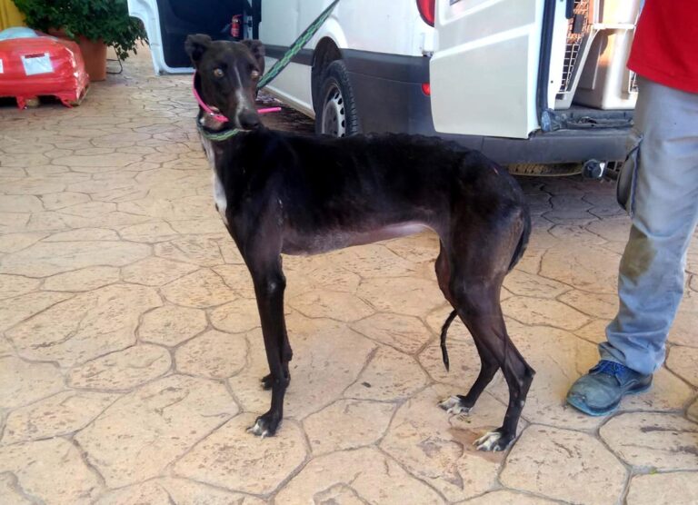 multimedia-foto70350-346-1