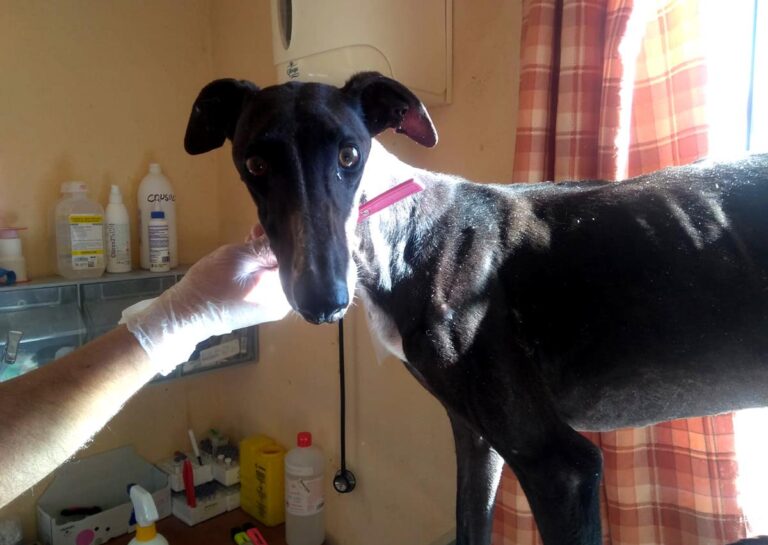 multimedia-foto70351-346-1