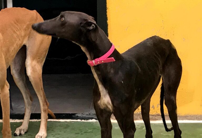 multimedia-foto70352-347-1