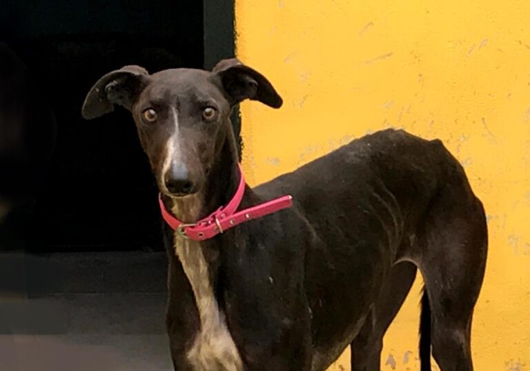 multimedia-foto70353-347-1