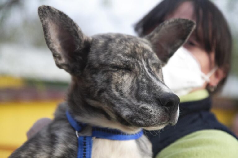 multimedia-foto70429-18-1